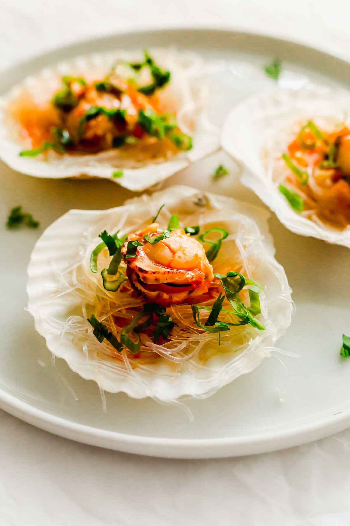 Steamed scallops on a half shell, on white plate.