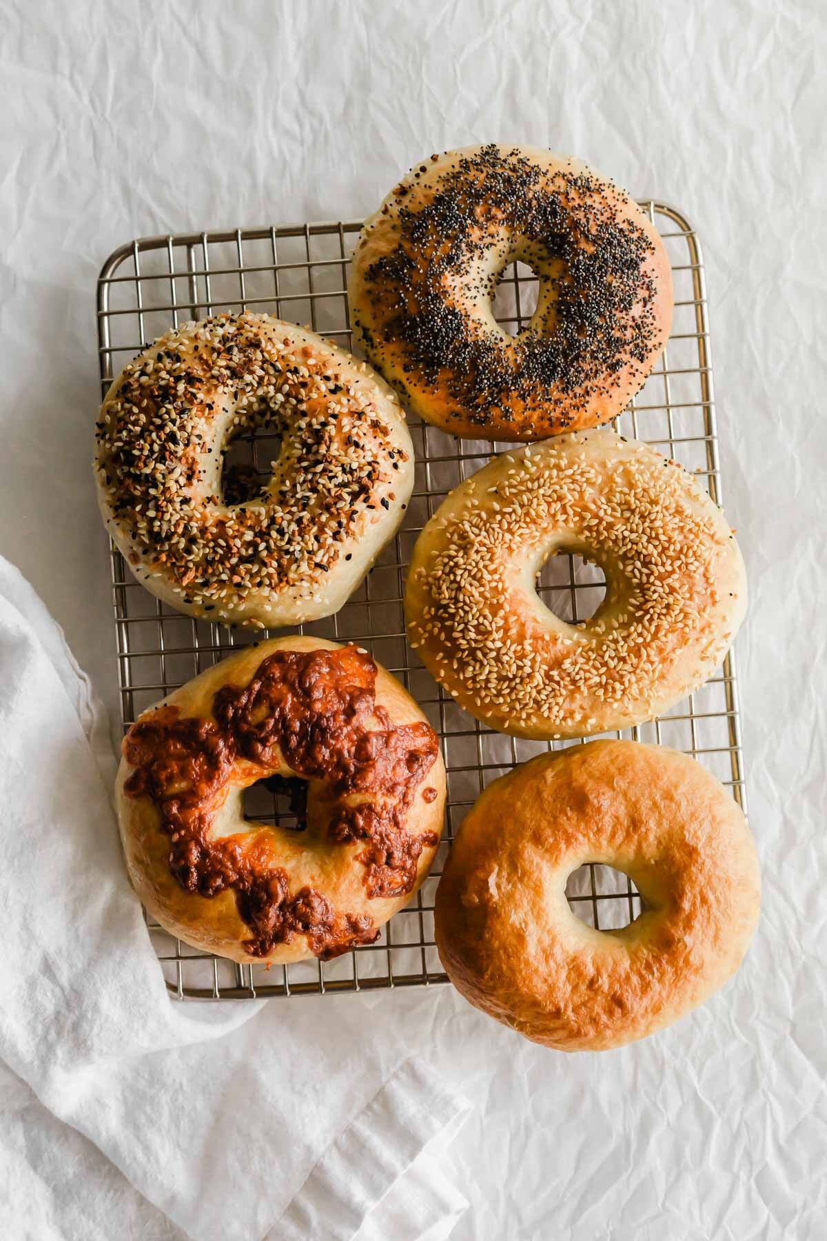 Homemade bagels on a wire rack.