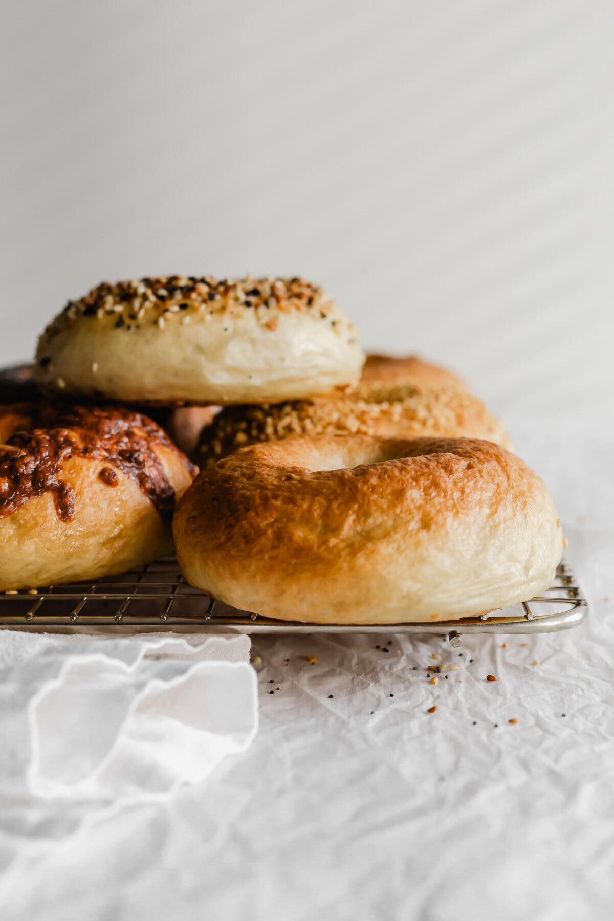Homemade bagels on a wire rack.